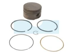 Kit Piston Pour Moteur Briggs & Stratton (795429)