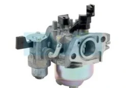 Carburateur Pour Moteur Honda (16100Z4M911)