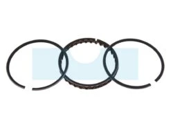 Kit Segment Pour Moteur Briggs & Stratton (391669)