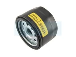 Filtre à Huile Pour Moteur Lombardini (1072175107)