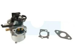 Carburateur Pour Moteur Briggs & Stratton (591852)