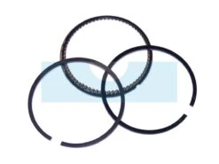 Kit Segment Pour Moteur Briggs & Stratton (498680)