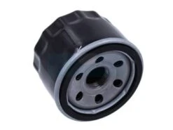 Filtre à Huile Pour MTD (75111501)