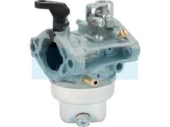 Carburateur Pour Moteur Honda (16100889065)