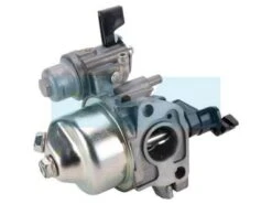 Carburateur Pour Moteur Honda (16100Z0V921)