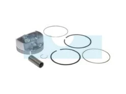 Piston Pour Moteur Briggs & Stratton (795858)
