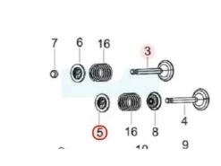 Coupelle De Soupape Pour Moteur Loncin / Rato (0001090011)