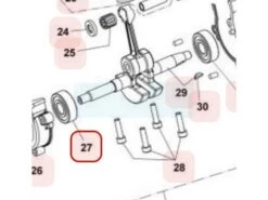 Roulement De Vilebrequin Pour Tronçonneuse Maruyama (M020641)
